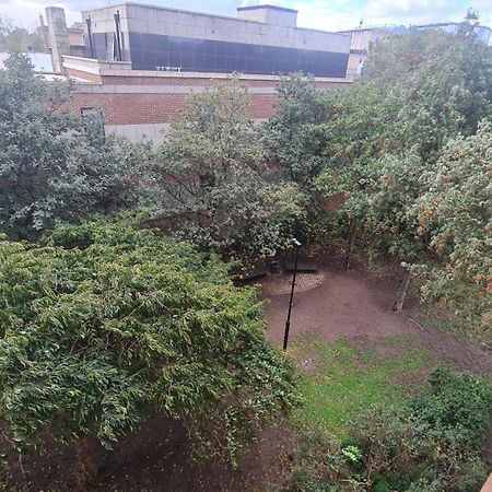 Cheap Kensington Apartment Central لندن المظهر الخارجي الصورة